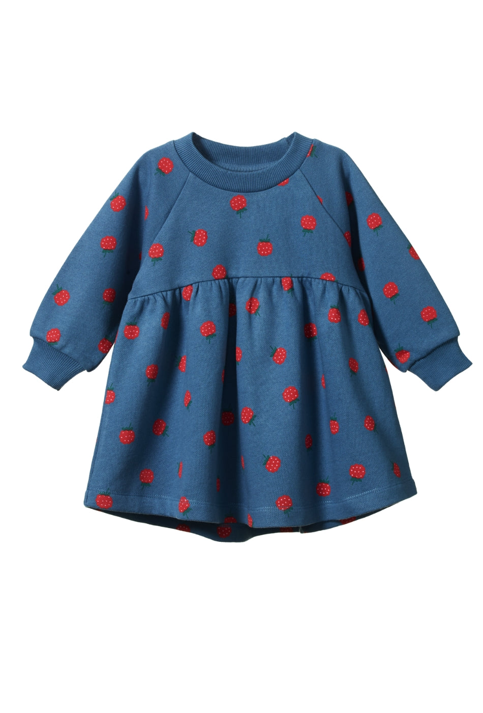 Ines Dress - Raspberry Blue Print-NATURE BABY-P&K The General Store