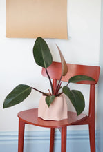 Load image into Gallery viewer, Lulu Planter Medium - With Tray - Apricot-SPECIAL STUDIOS-P&amp;K The General Store
