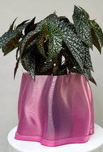 Load image into Gallery viewer, Lulu Planter - With Tray - Rose Gloss - Medium-SPECIAL STUDIOS-P&amp;K The General Store
