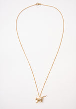Load image into Gallery viewer, Alley Cat Necklace - Gold-SYLVESTER-P&amp;K The General Store
