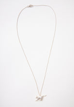 Load image into Gallery viewer, Alley Cat Necklace - Silver-SYLVESTER-P&amp;K The General Store
